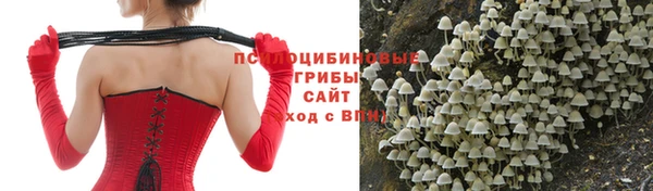 прущая мука Абинск