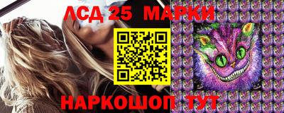 jwh Кимры