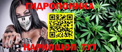 jwh Кимры