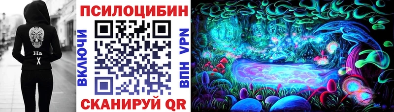 Галлюциногенные грибы Psilocybe  Магнитогорск 