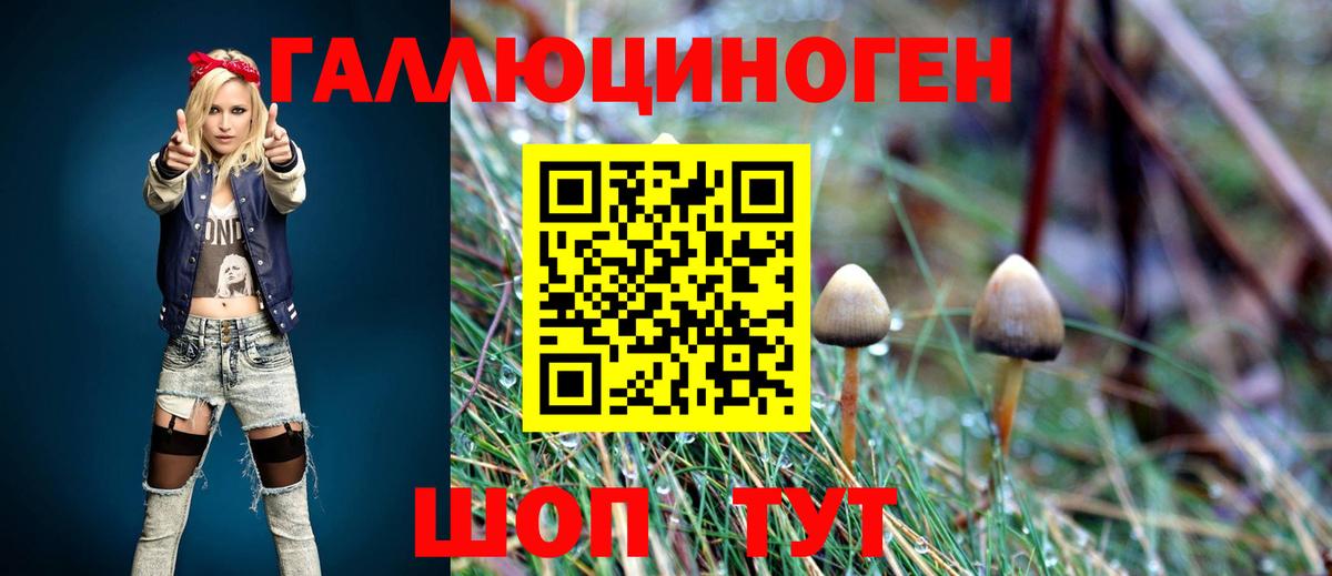 Галлюциногенные грибы Psilocybe  Вход с VPN  Галлюциногенные грибы прущие грибы  Магнитогорск 